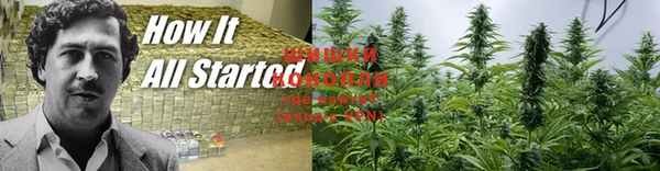 spice Армянск