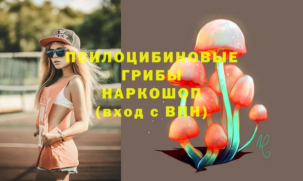 spice Армянск