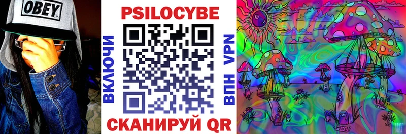 Псилоцибиновые грибы прущие грибы  Прохладный 